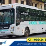 nha-xe-camel-travel-hue-di-ha-noi